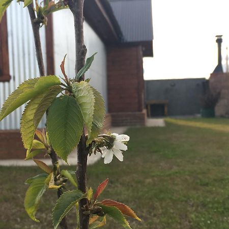 Casa Patagonica Los Frutales เอลกาลาฟาเต ภายนอก รูปภาพ