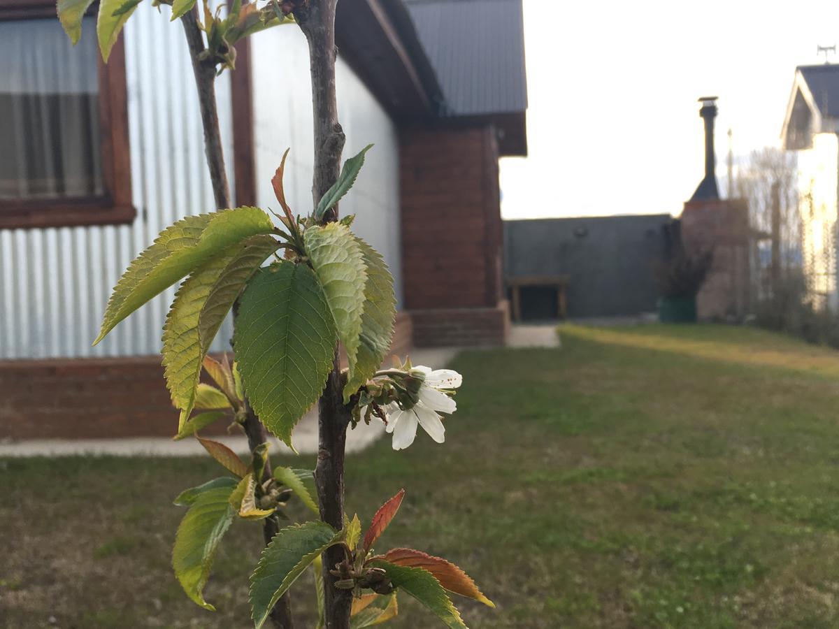 Casa Patagonica Los Frutales เอลกาลาฟาเต ภายนอก รูปภาพ