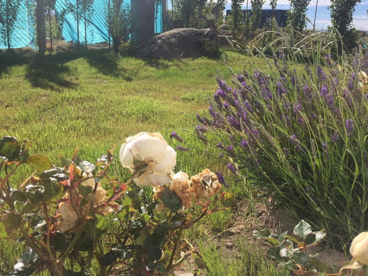 Casa Patagonica Los Frutales เอลกาลาฟาเต ภายนอก รูปภาพ